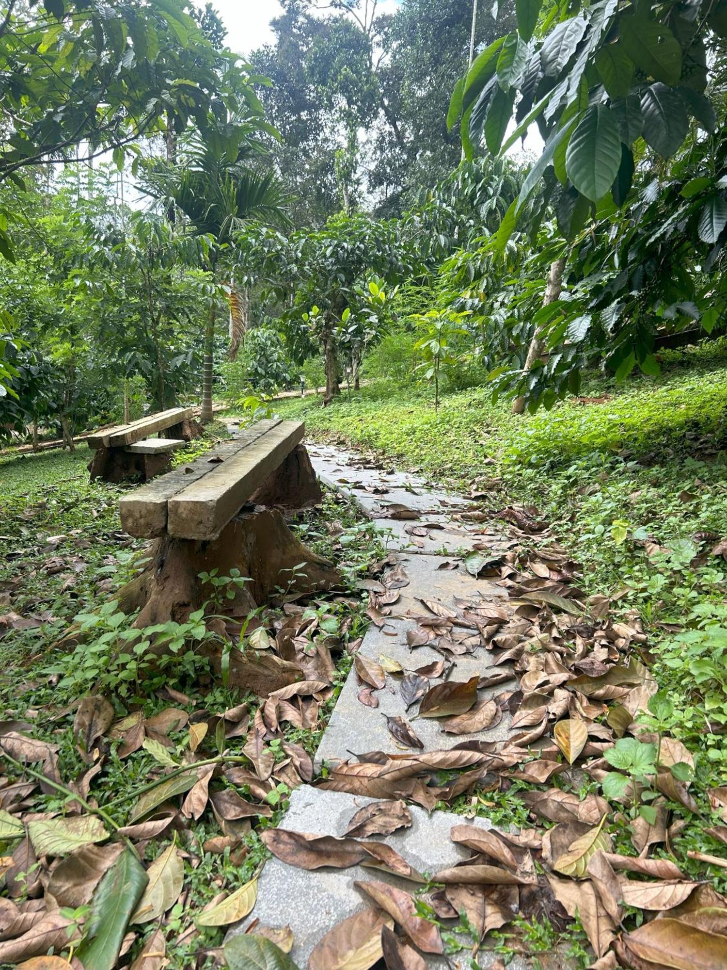 Sylvan Resort Wayanad Bagian luar foto