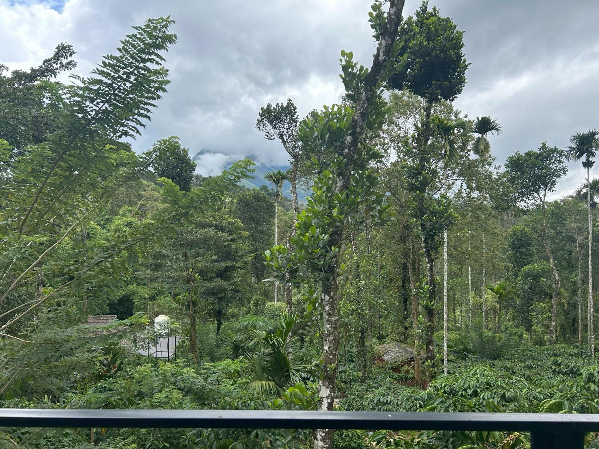 Sylvan Resort Wayanad Bagian luar foto