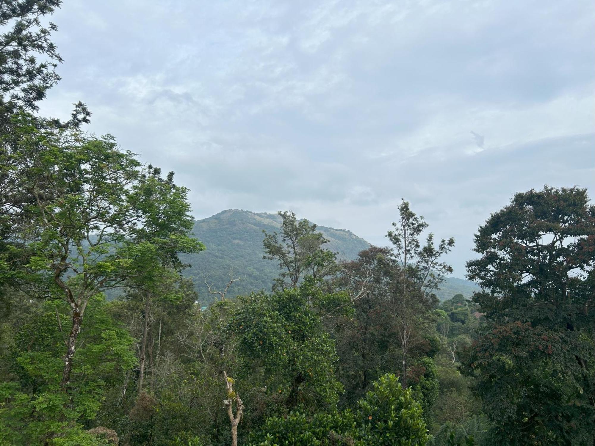 Sylvan Resort Wayanad Bagian luar foto
