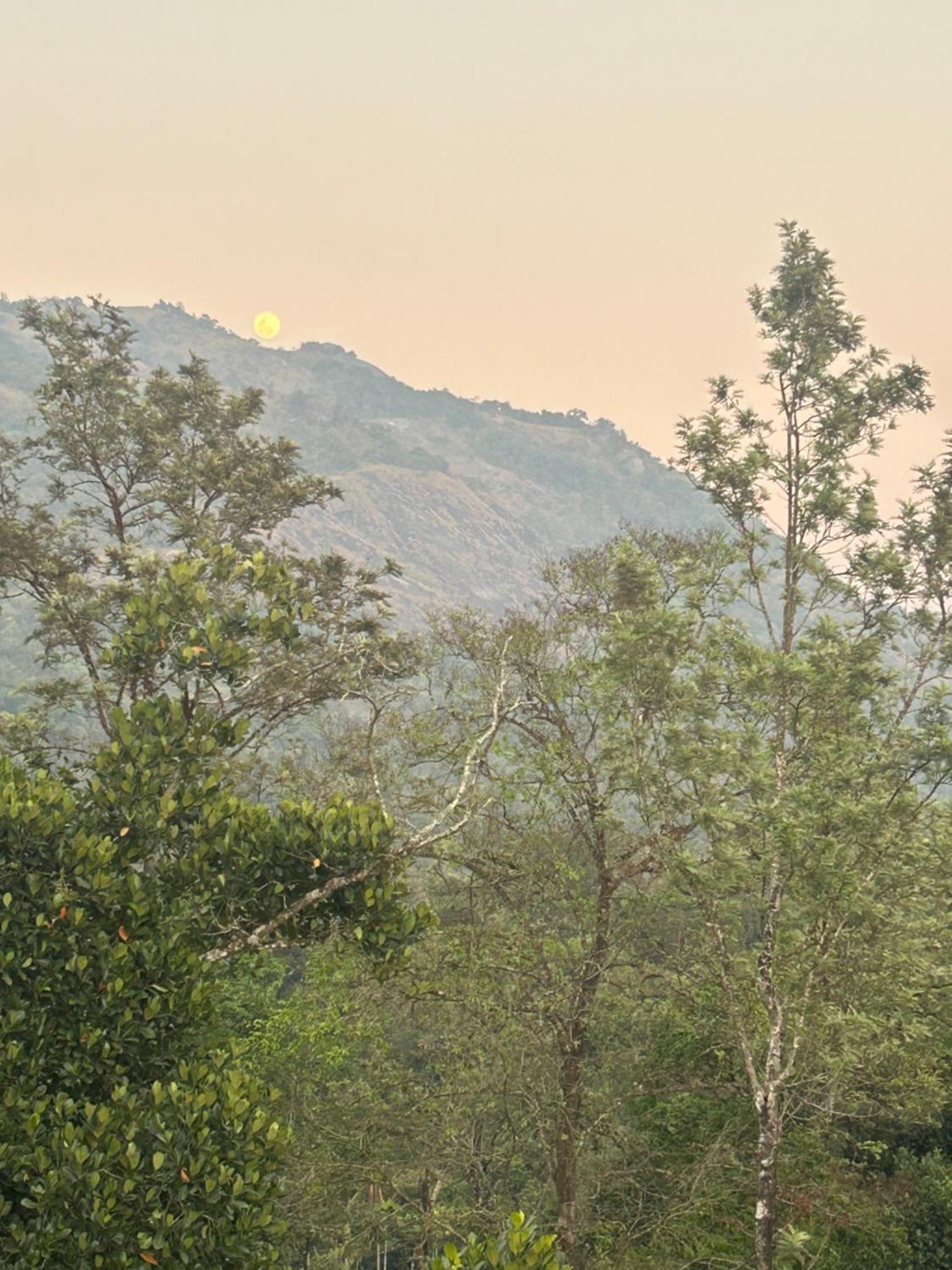 Sylvan Resort Wayanad Bagian luar foto
