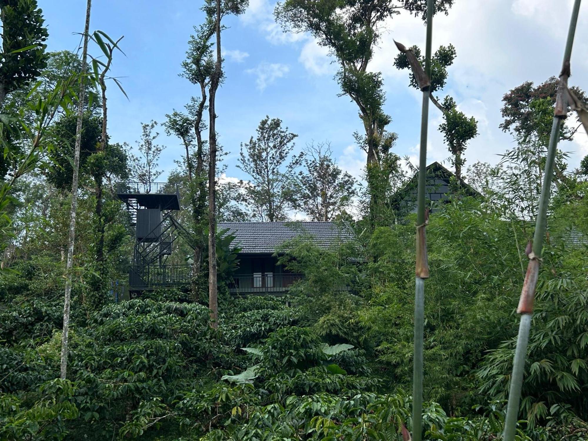 Sylvan Resort Wayanad Bagian luar foto