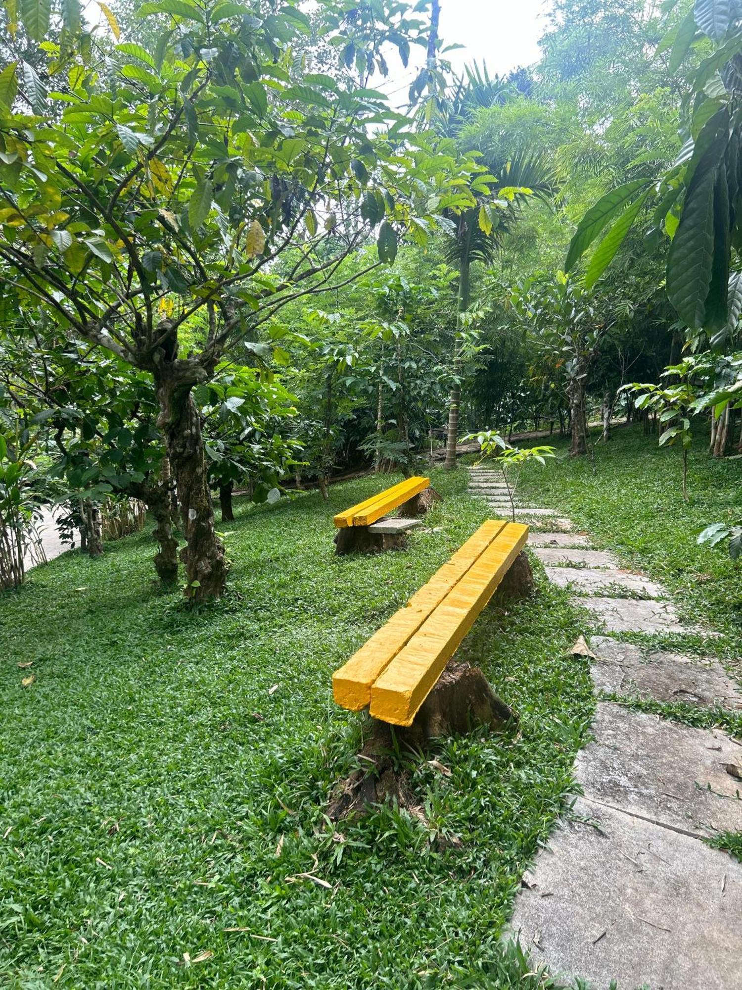 Sylvan Resort Wayanad Bagian luar foto